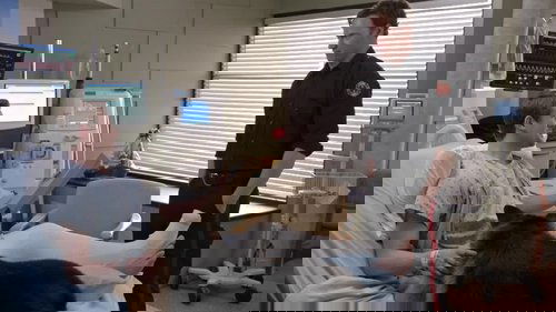 Hudson & Rex - 16. Bölüm