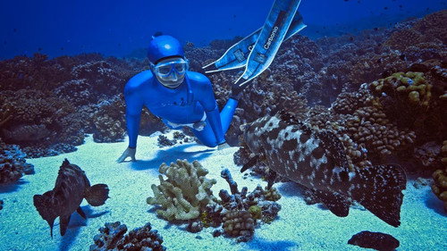 Waterwoman第2季第1集