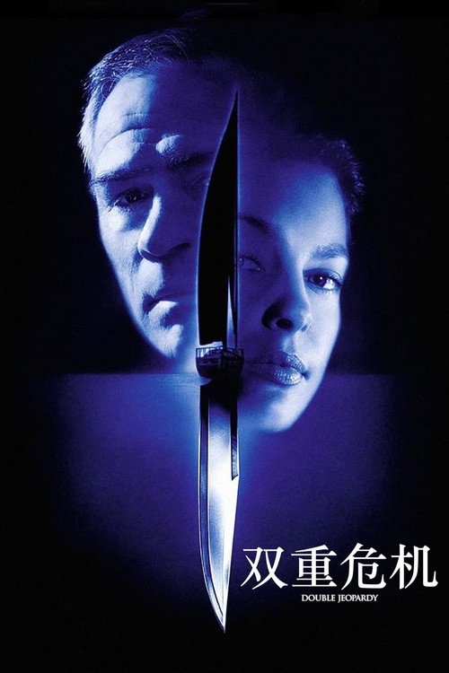 双重危机电影海报