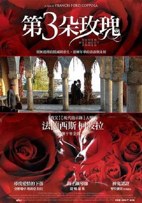 没有青春的青春电影海报