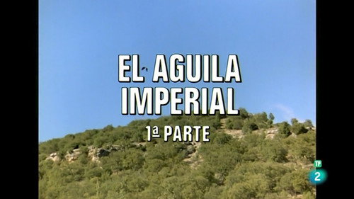 The Imperial Eagle I