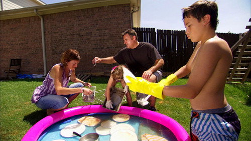 The O'Briens
