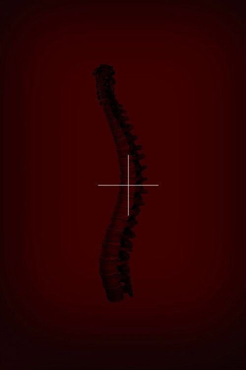 Il Terzo Reich's poster