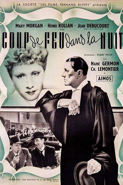 Coup de feu dans la nuit poster 2