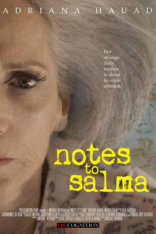 Notes To Salma电影海报
