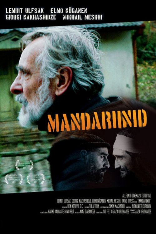 Tangerines - Mandarini poster Tangerines - Mandarini (2013) streaming ITA film completo Full HD