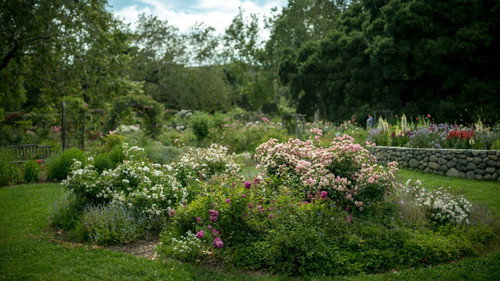 Descanso Gardens