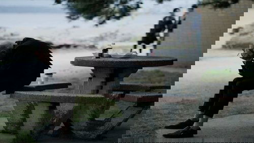 The Romeo Section - 7. Bölüm