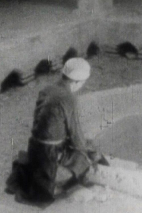 From Isfahan to Abarkooh