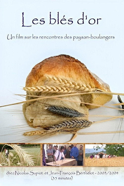 Les bl&eacute;s d'or电影海报