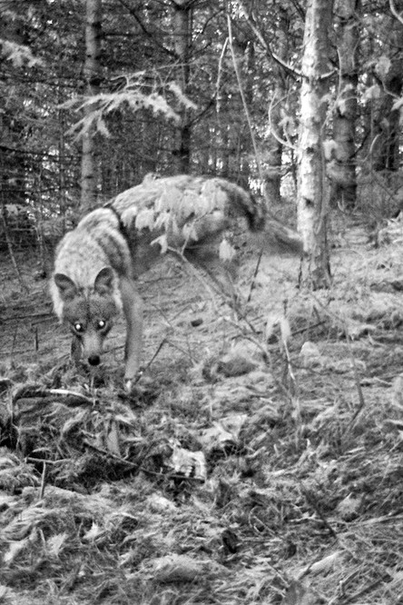 Terrestres (2021) s českými titulky