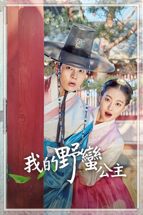 我的野蛮女友电影海报