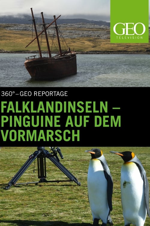 Falklandinseln+%3A+Pinguine+auf+dem+Vormarsch