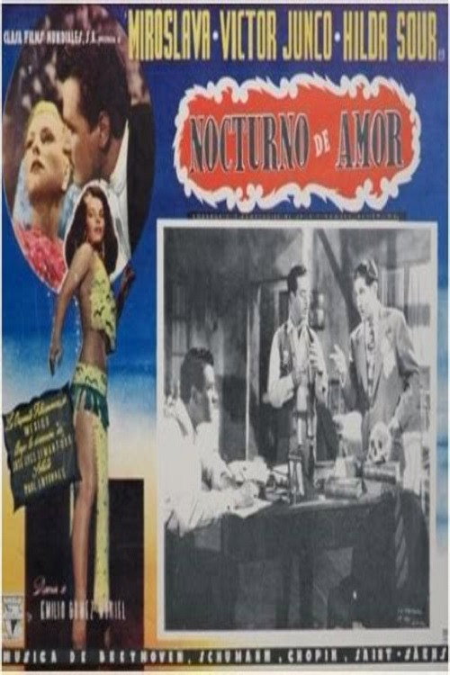 Nocturno de amor poster 3