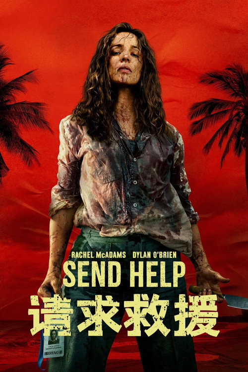 请求救援电影海报