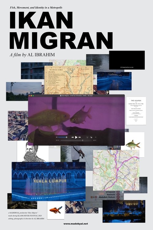 Ikan+Migran