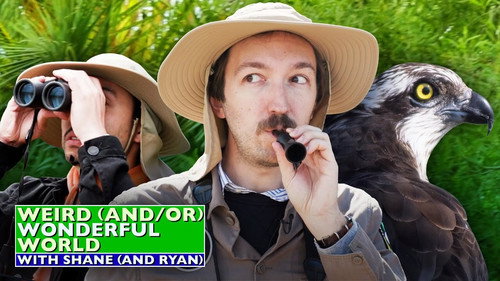 Weird (and/or) Wonderful World with Shane (and Ryan)第2季第2集