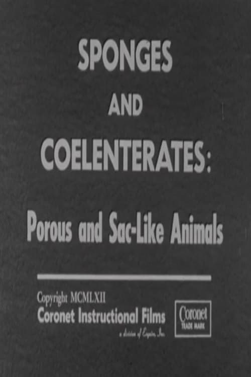 Sponges+and+Coelenterates%3A+Porous+and+Sac-Like+Animals