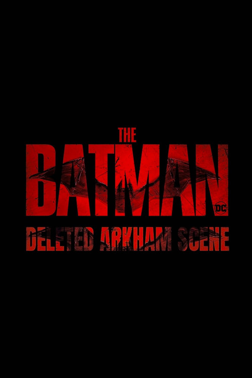 The Batman: Deleted Arkham Scene电影海报