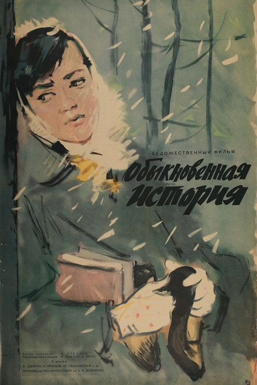 Ordinary Story poster 2