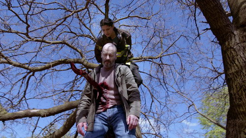 芝加哥烈焰第9季第13集