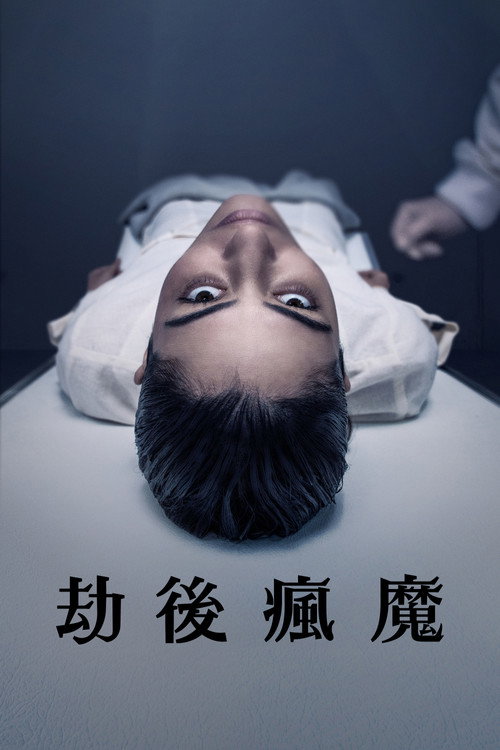 白雾追凶电影海报