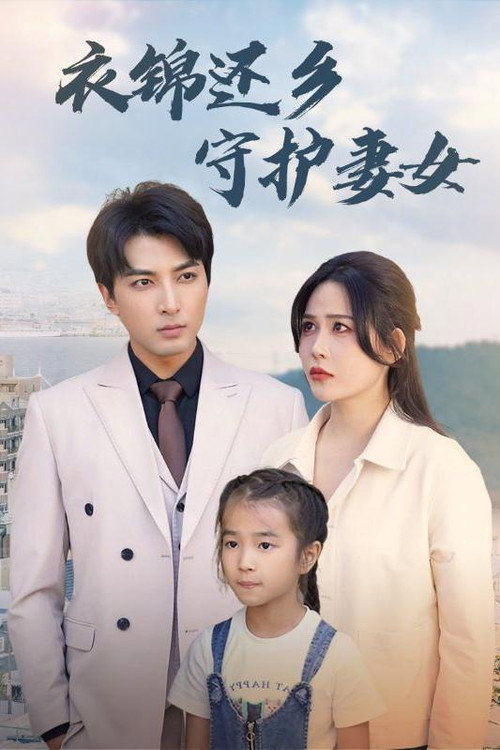 衣锦还乡守护妻女电影海报