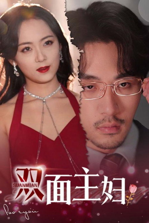 双面主妇电影海报