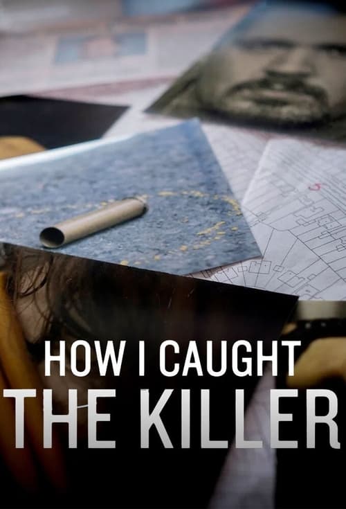Poster of How I Caught The Killer