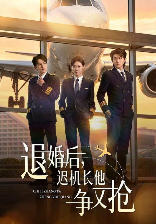 退婚后，迟机长他争又抢电影海报