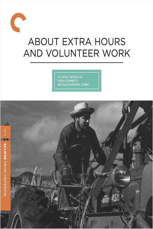 About Extra Hours and Volunteer Work Poster