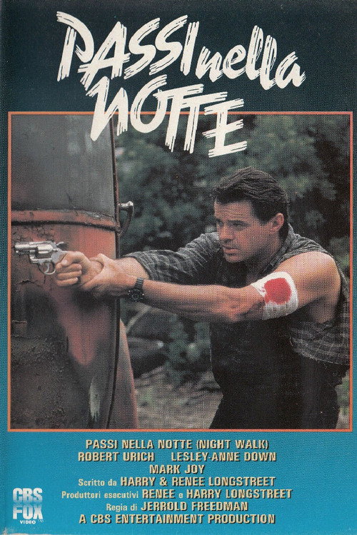 Night Walk poster 2