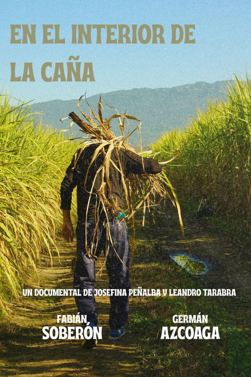 Lo que está en el interior de la caña