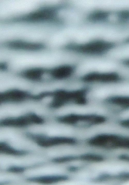 The Wind's poster