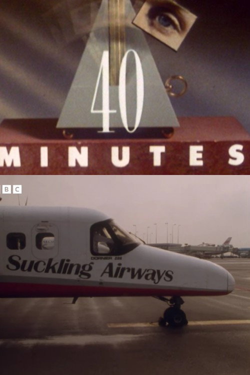 Darling, Let's Start Up an Airline's poster