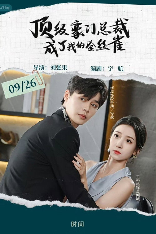 顶级豪门总裁成了我的金丝雀 poster 2