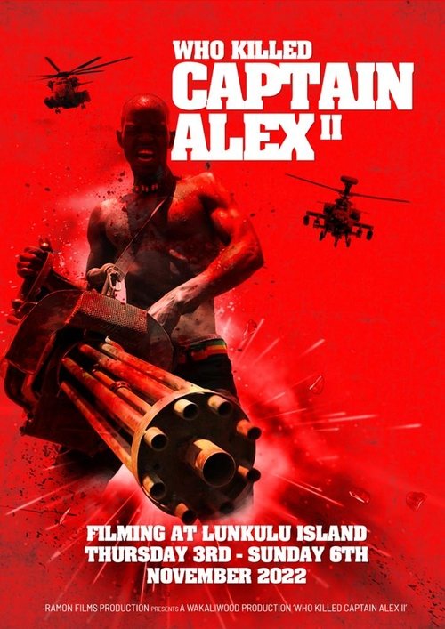 Who Killed Captain Alex 2 Poster