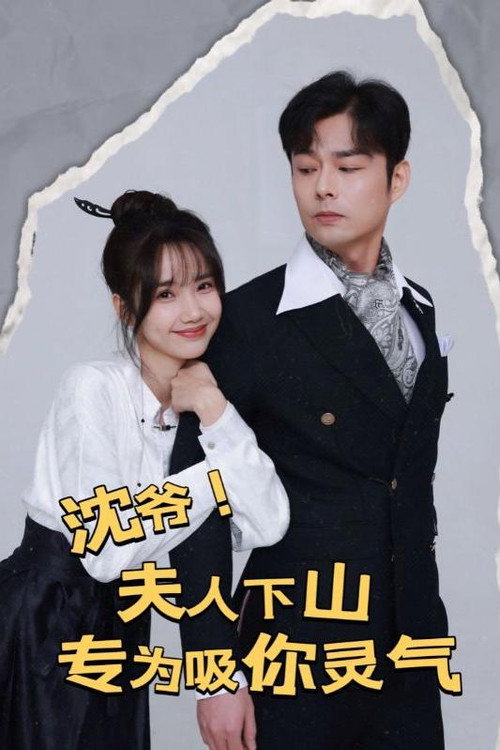 沈爷！夫人下山专为吸你灵气电影海报