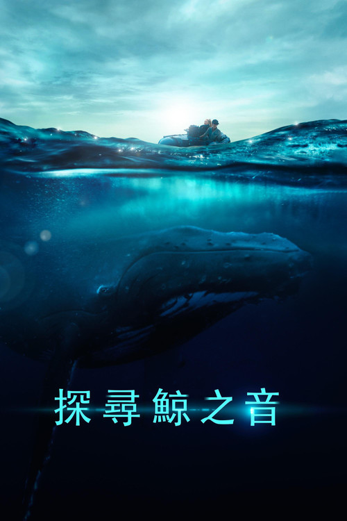 探寻鲸之音电影海报