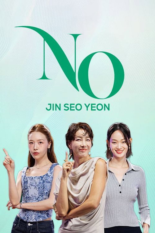 진서연의 NO电影海报