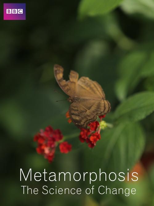 Metamorphosis%3A+The+Science+of+Change