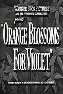 Orange Blossoms for Violet