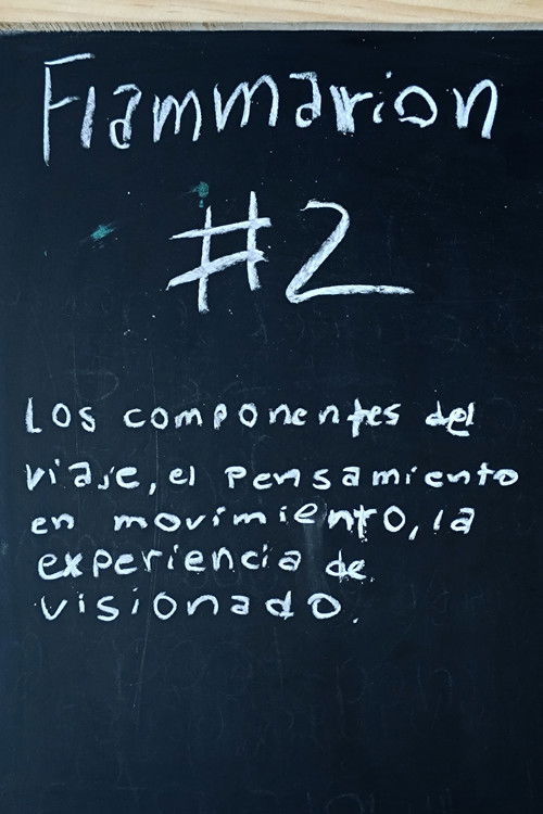 Flammarion #2: Los componentes del viaje, el pensamiento en movimiento y la experiencia de visionado.