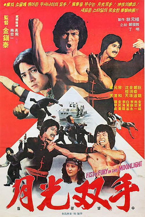 Dragon Lee Fights Again poster 5