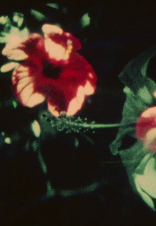 Cuarteto 1978 Cuarteto 1978