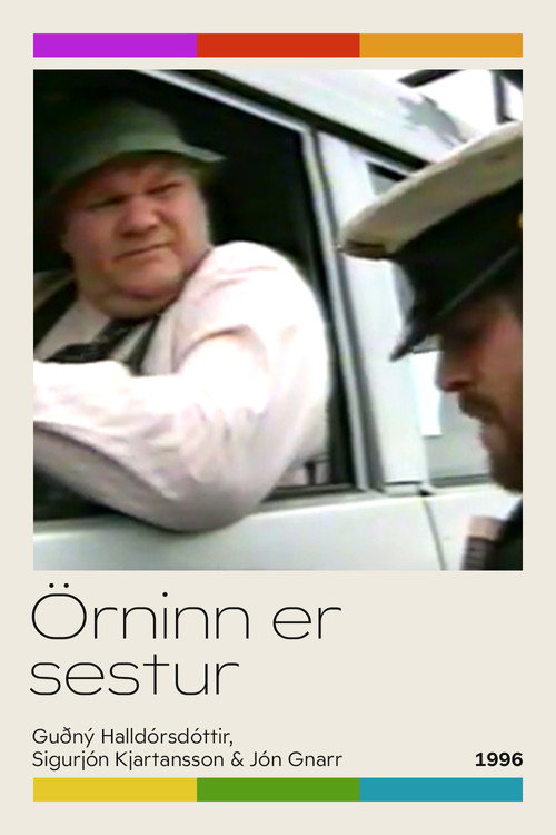 &Ouml;rninn er sestur电影海报