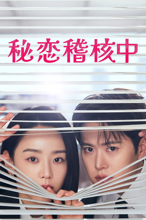 秘恋稽核中电影海报