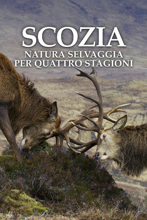 Scozia: natura selvaggia per quattro stagioni电影海报