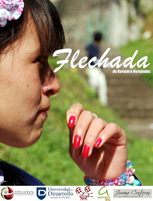 Flechada电影海报