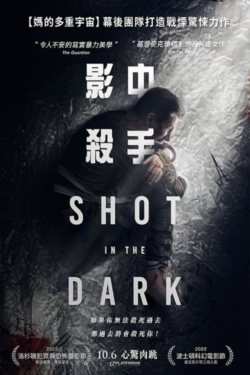 暗中一枪电影海报